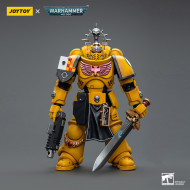 Imperial Fists Lieutenant with Power Sword