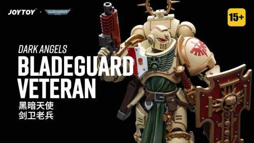 Dark Angels Bladeguard Veteran