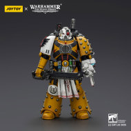 Imperial Fists Legion Apothecary