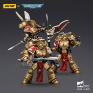 Blood Angels Sanguinary Guard