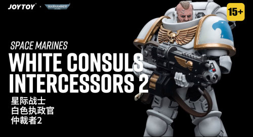 Space Marines White Consuls Intercessors 2