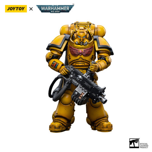 Imperial Fists Heavy Intercessors 01