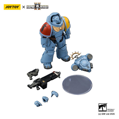 Game Edition Space Wolves Heavy Intercessor with Heavy Bolt Rifle and Bolt Pistol