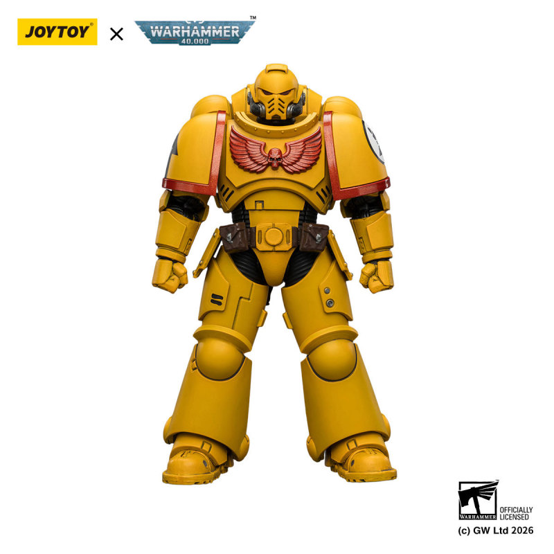 Imperial Fists Intercessor with Bolt Rifle, Bolt Pistol and Chainsword