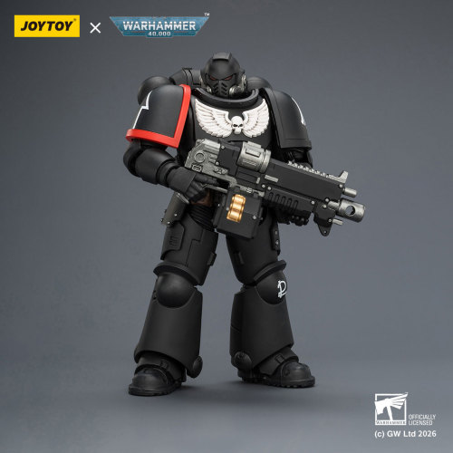 Raven Guard Intercessor with Bolt Rifle, Bolt Pistol and Chainsword