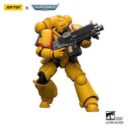 Imperial Fists Intercessor with Bolt Rifle, Bolt Pistol and Chainsword