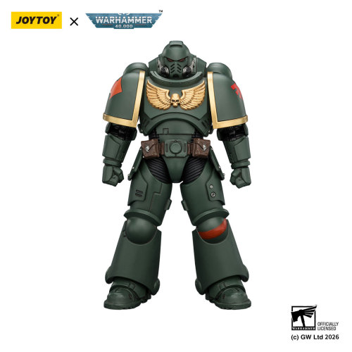 Dark Angels Intercessor with Bolt Rifle, Bolt Pistol and Chainsword