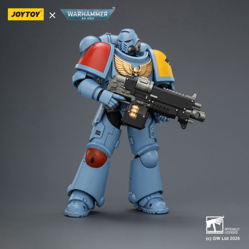 Space Wolves Intercessor with Bolt Rifle, Bolt Pistol and Chainsword