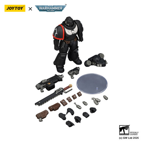 Raven Guard Intercessor with Bolt Rifle, Bolt Pistol and Chainsword
